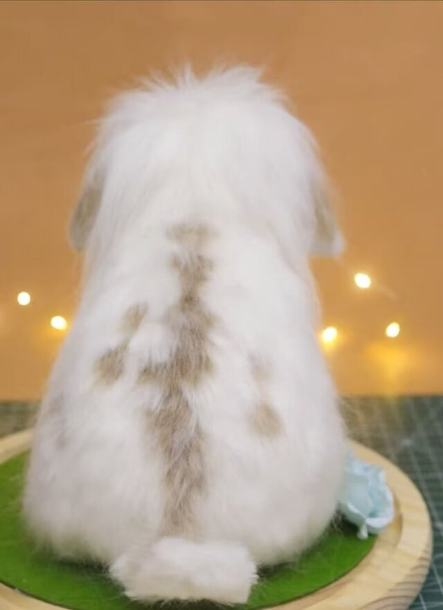 もふもふうさぎ〜ず③ページ　ぬいぐるみオーダー 7b5f8f1a4f6410d216bed0928f4f04