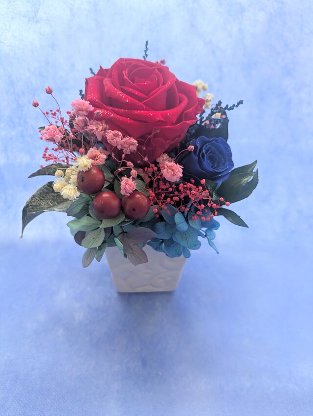 プリザーブドフラワー／大輪の赤い薔薇と青い薔薇の白い花器アレンジ／フラワーケースリボンラッピング付き