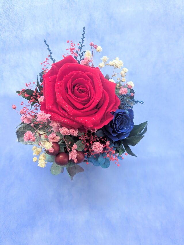 プリザーブドフラワー/大輪の赤い薔薇と青い薔薇の白い花器 プリザーブドフラワー/大輪の赤い薔薇と青い薔薇の白い花器
