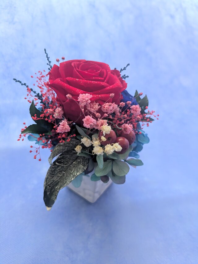プリザーブドフラワー/大輪の赤い薔薇と青い薔薇の白い花器 プリザーブドフラワー/大輪の赤い薔薇と青い薔薇の白い花器