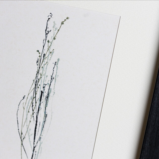 [原画] ボタニカルモノプリント コキア （版画）