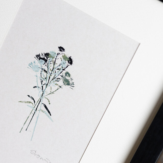 [原画] ボタニカルモノプリント アスター（版画）