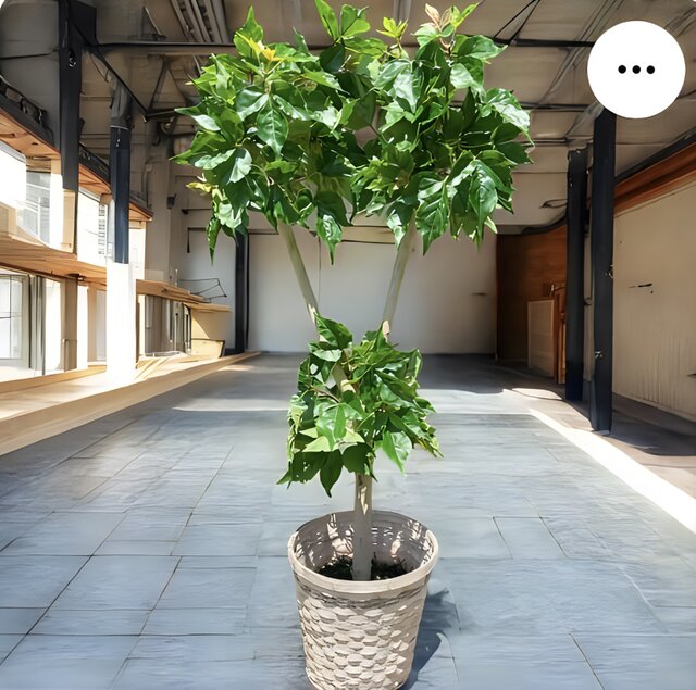 光触媒 人工観葉植物 ウォールグリーン フェイクグリーン