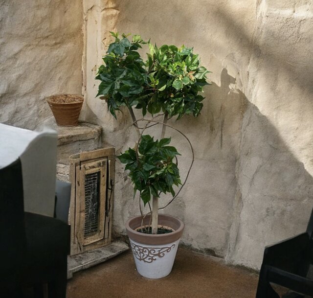 光触媒 人工観葉植物 ウォールグリーン フェイクグリーン アイビー