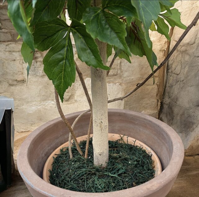 光触媒 人工観葉植物 ウォールグリーン フェイクグリーン アイビー