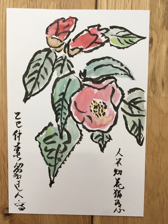 ポストカード　ピンクの椿