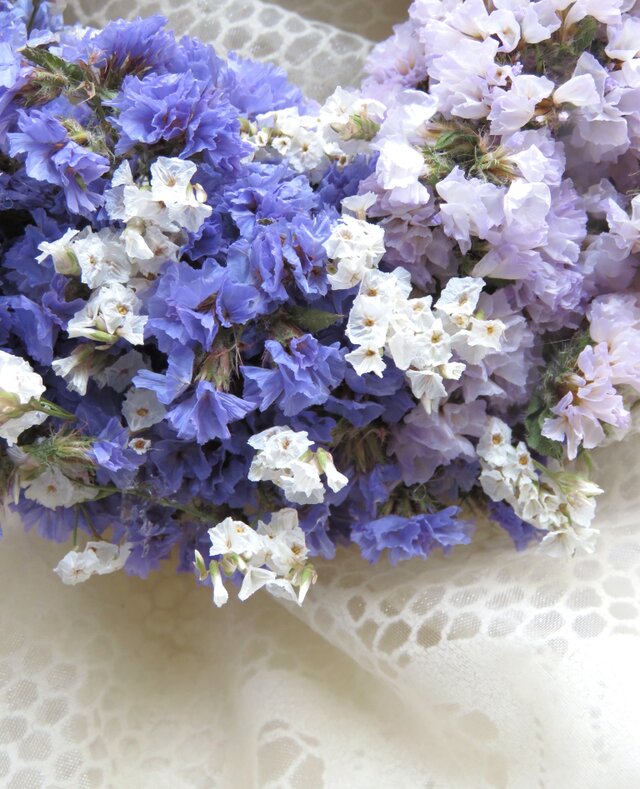 スターチス・アイスブルーのリース | iichi 日々の暮らしを心地よく