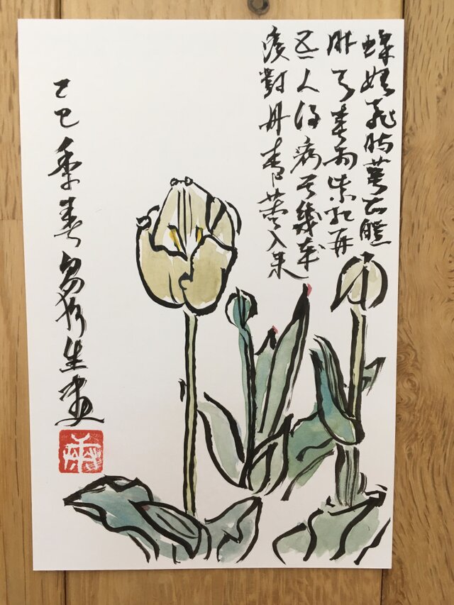 ポストカード　白チューリップ