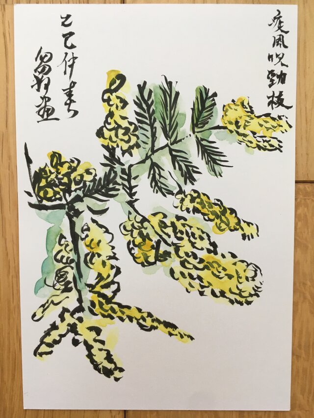 ポストカード　ミモザ