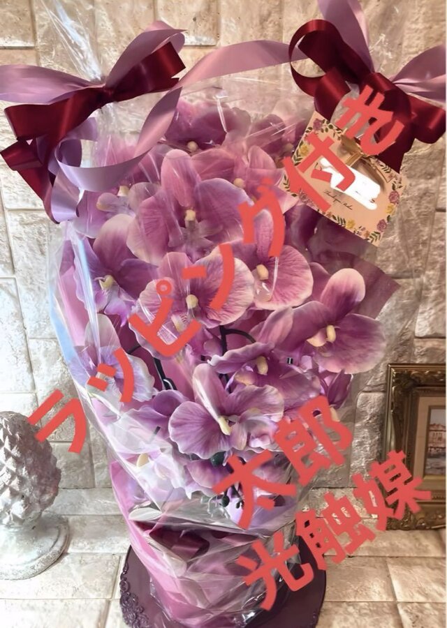 光触媒　人工観葉植物　ウォールグリーン　フェイクグリーン　胡蝶蘭6142aj