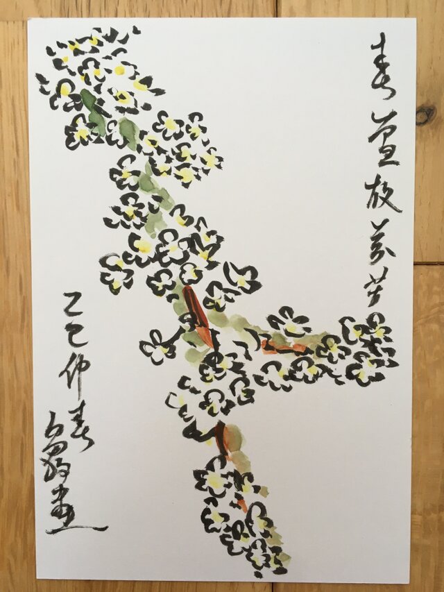 ポストカード　雪柳