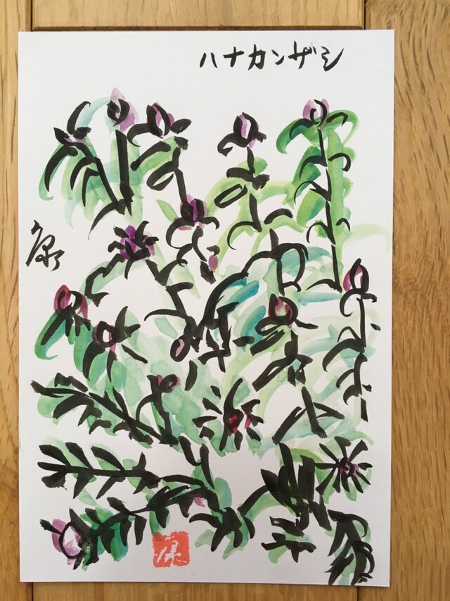 ポストカード　ハナカンザシ