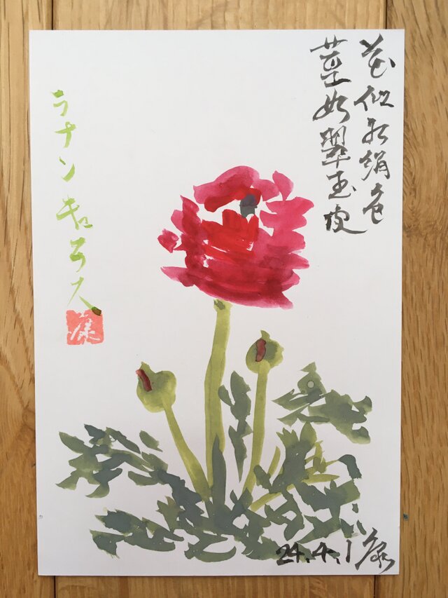 ポストカード　ラナンキュラス