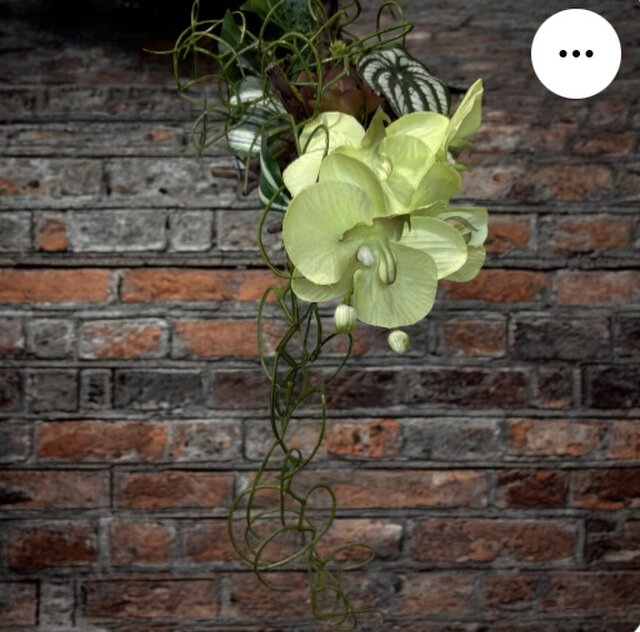 光触媒 人工観葉植物 ウォールグリーン フェイクグリーン 流木