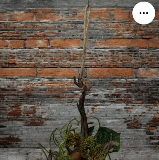 光触媒　人工観葉植物　ウォールグリーン　フェイクグリーン　胡蝶蘭7845@ad 光触媒 人工観葉植物 ウォールグリーン フェイクグリーン 流木