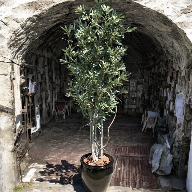 光触媒　人工観葉植物　ウォールグリーン　フェイクグリーン　オリーブtja 光触媒 人工観葉植物 ウォールグリーン フェイクグリーン オリーブ1.6