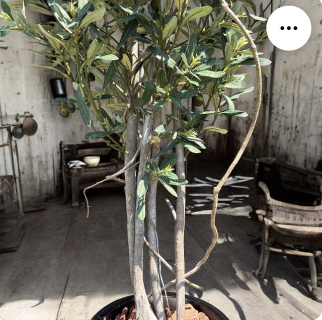 光触媒 人工観葉植物 ウォールグリーン フェイクグリーン オリーブtja