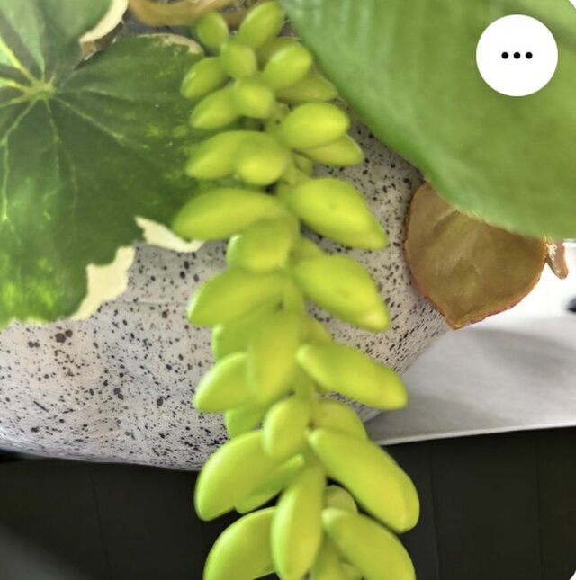 光触媒 人工観葉植物 ウォールグリーン フェイクグリーン 石
