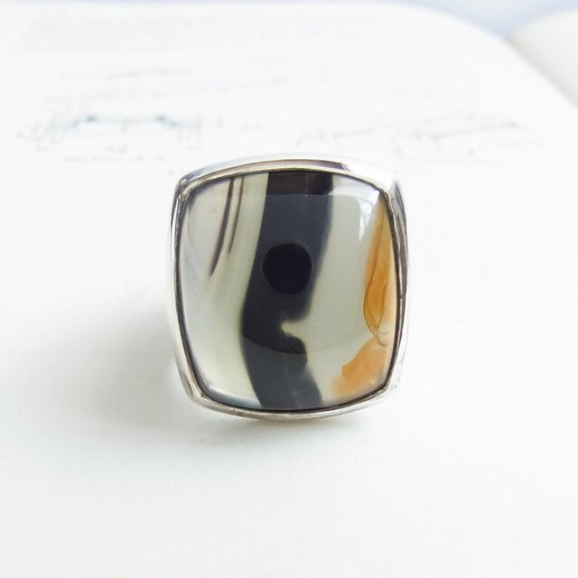 ピクチャーアゲードのリング