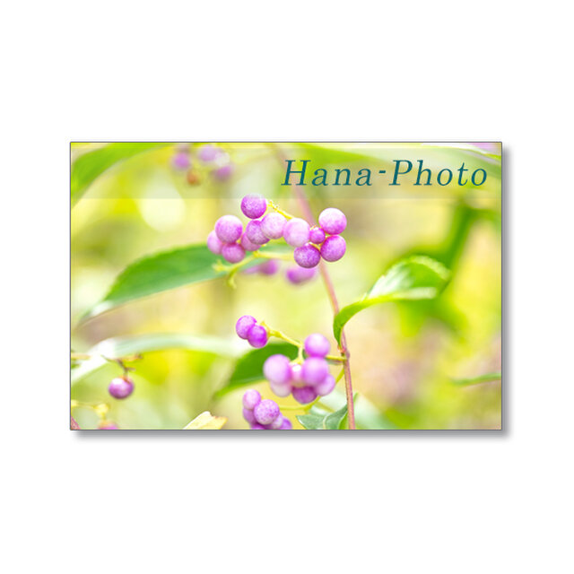 1663) 桃式部・白式部・紫式部 2    ポストカード5枚組