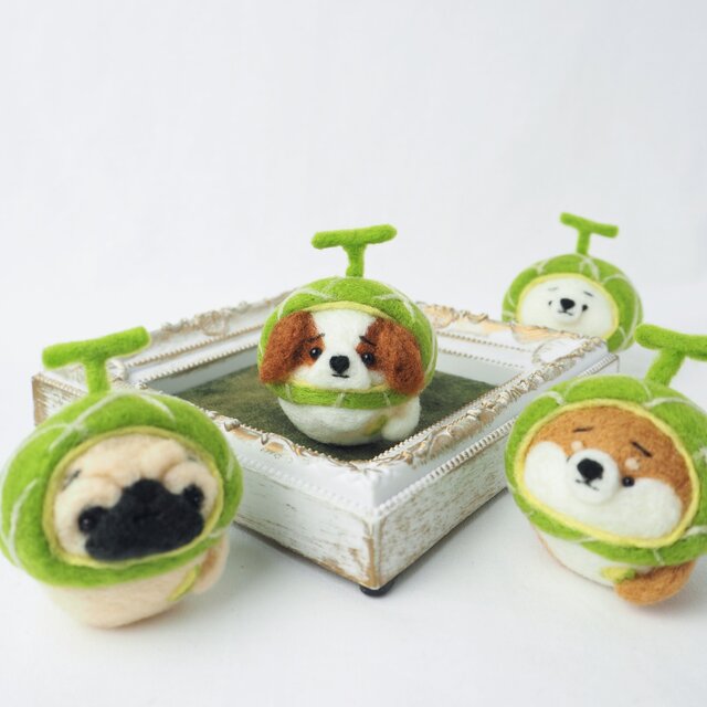 はるか️oracle夜〜様専用羊毛フェルト【キャバリア】犬 オーダー