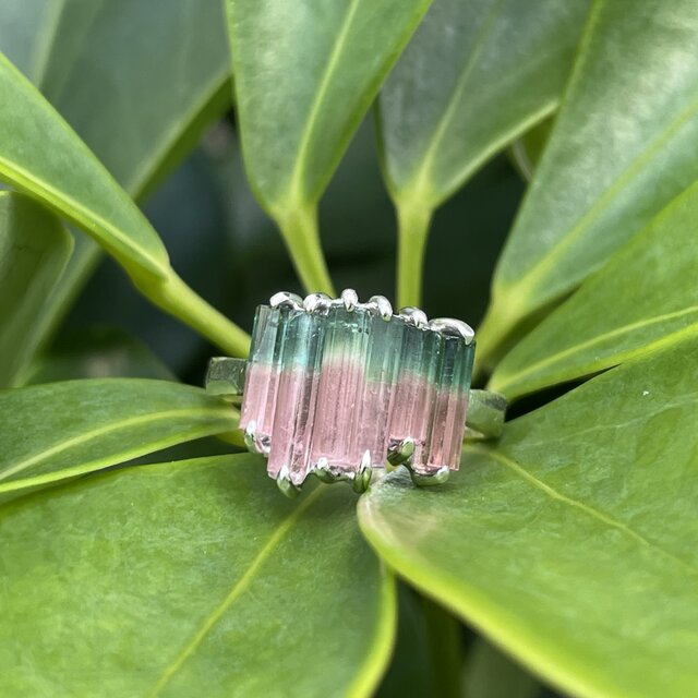 希少☆トルマリン原石リング (size14) 12号)Sliced watermelon tourmaline ring ウォーターメロン