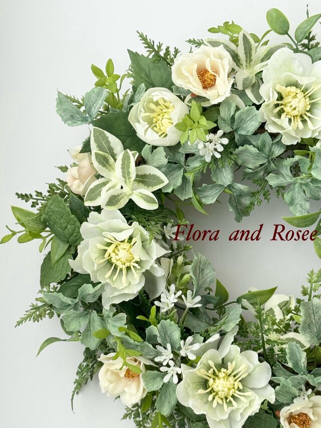 りーちゃん クリスマスローズ 株分け DDグリーンパールエッジ 102gww-1r.jpg