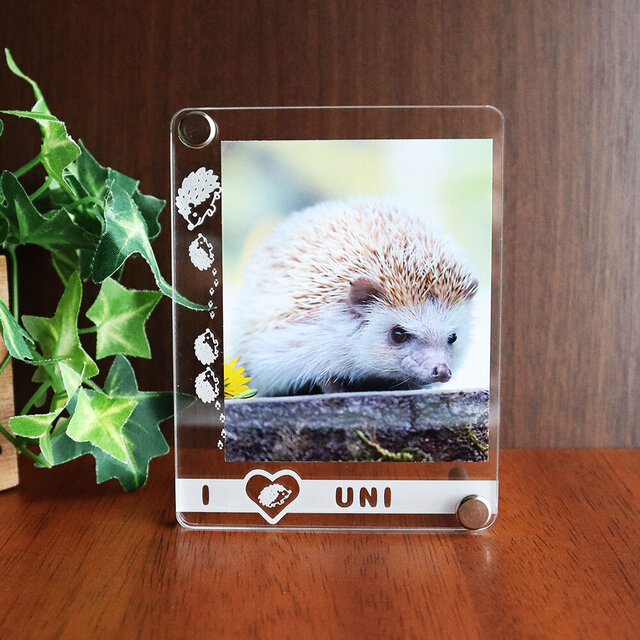ハリネズミ　お名前刻印がはいった　クリアフォトフレーム