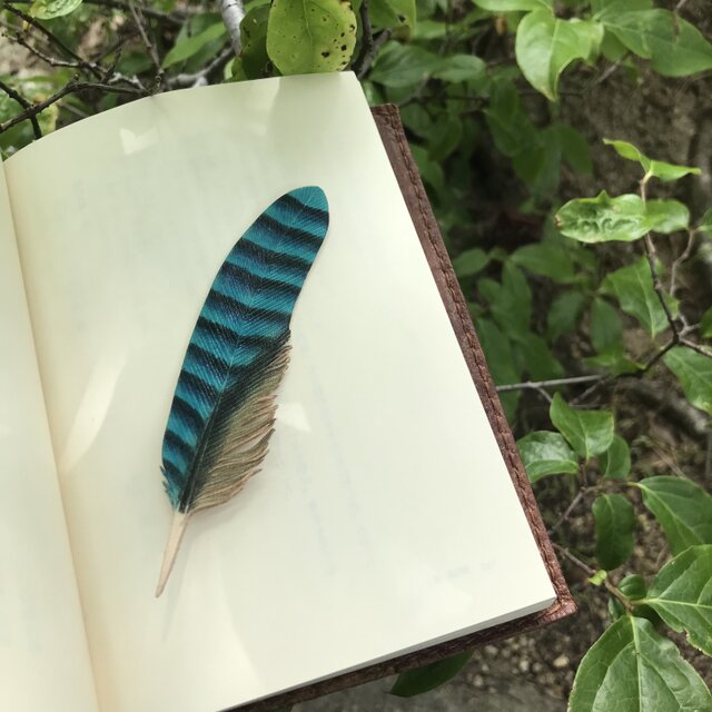 本革　カケス　羽根　ブックマーク