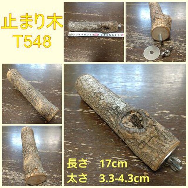 止まり木（枝：TOY-23-004) T548