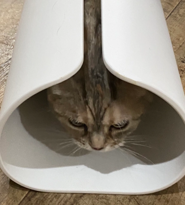 ひんやり隠れ家　人工大理石製　ホワイト