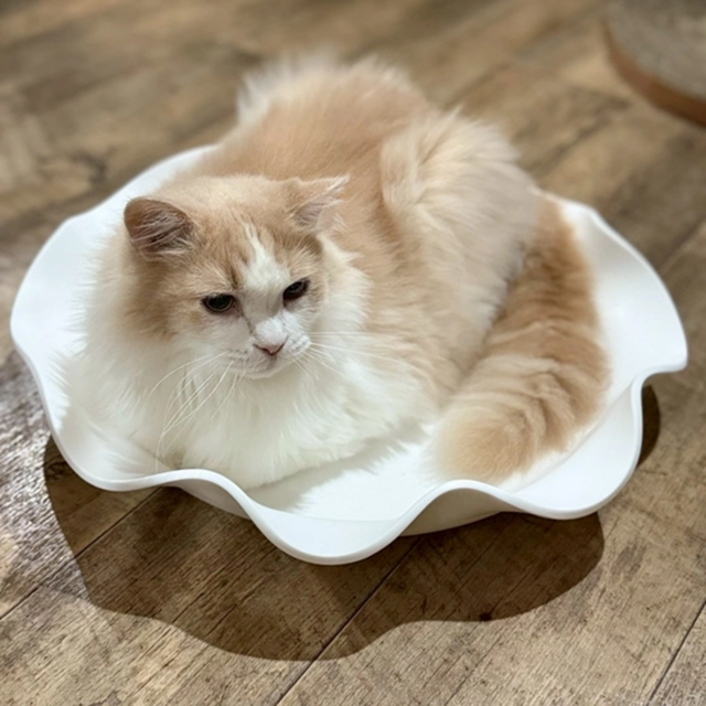 ねこ鍋　人工大理石製　ホワイト