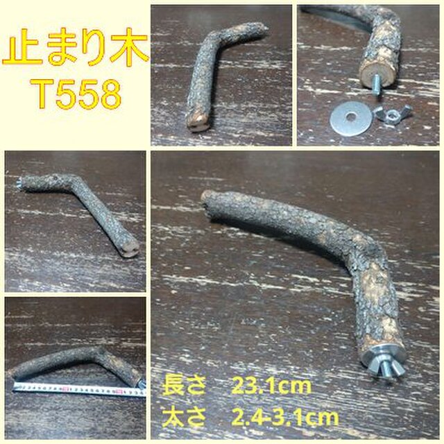 止まり木（枝：TOY-08-015）T558