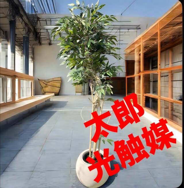 光触媒　人工観葉植物　ウォールグリーン　フェイクグリーン　イタリアンベンジャミン17365