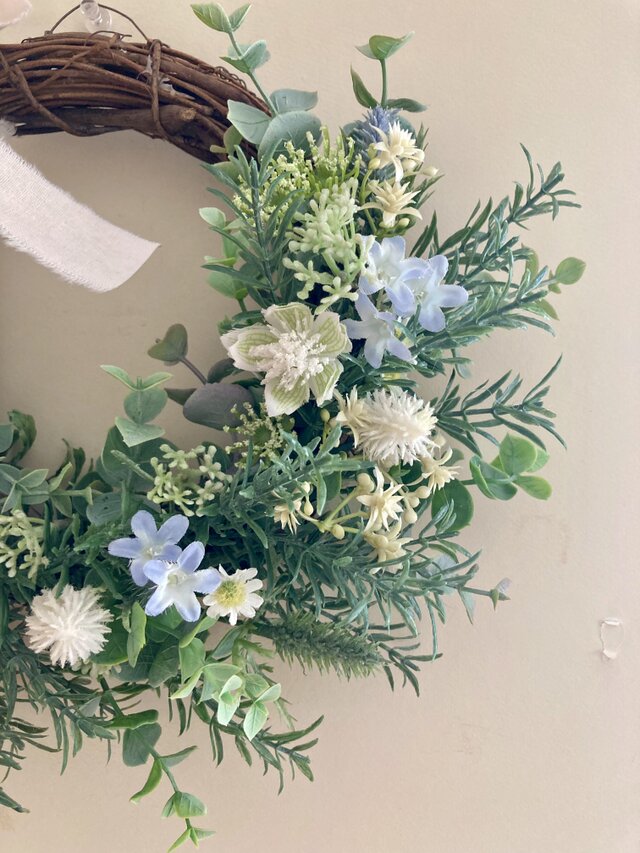 アストランティアのリース