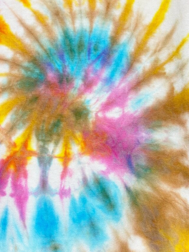 タイダイ Tシャツ Lサイズ カラフル スパイラル Hippies Dye HD24-60