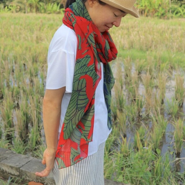 ストール「カンナ」希望（コットンシフォン100%）