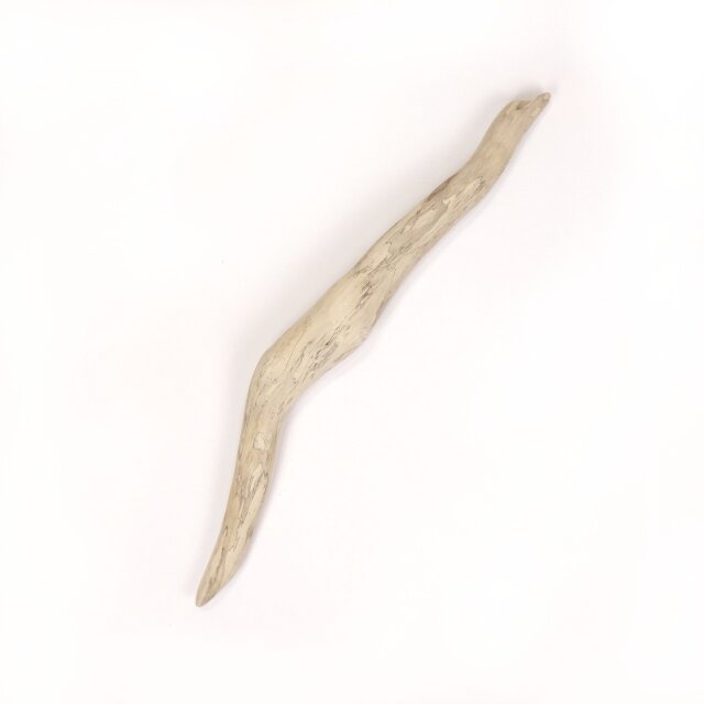 【温泉流木】中央ふっくら繊細模様の流木 流木素材 インテリア素材 レイアウト素材 オブジェ