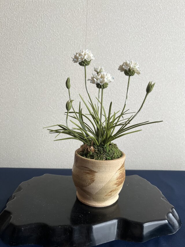 粘土の花 アルメリア | iichi 日々の暮らしを心地よくするハンドメイド