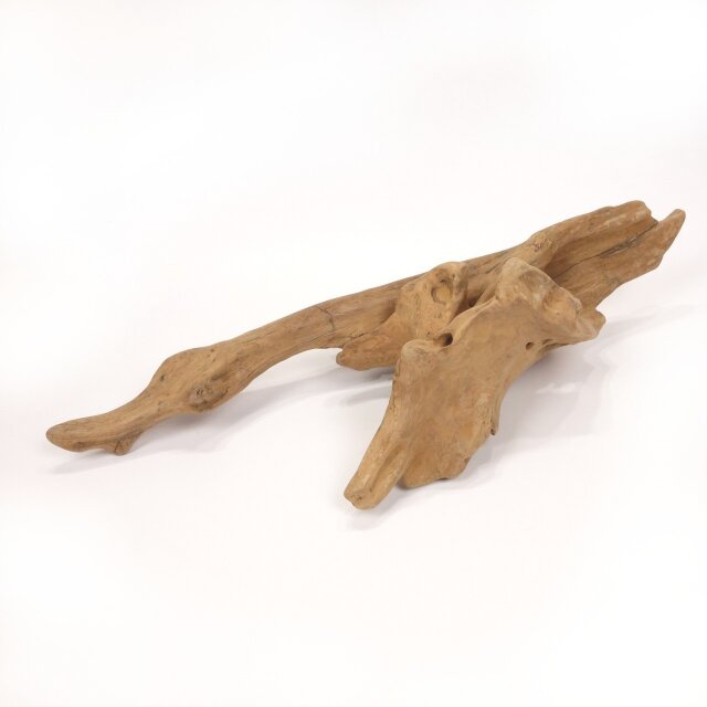 流木　インテリア コンクリート盆栽 流木オブジェ】ディスプレイ 什器 アクセサリー