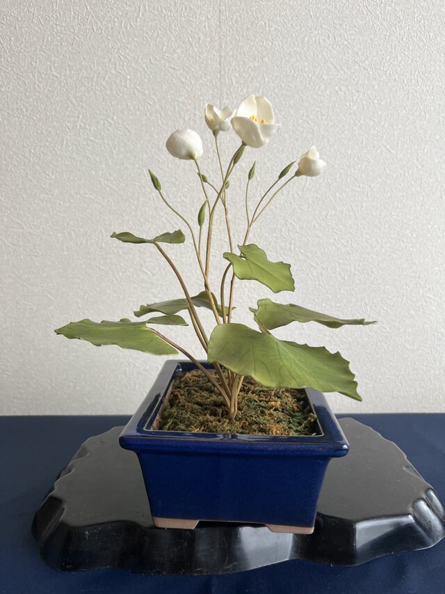 粘土の花 白雪ゲシ | iichi 日々の暮らしを心地よくするハンドメイドや