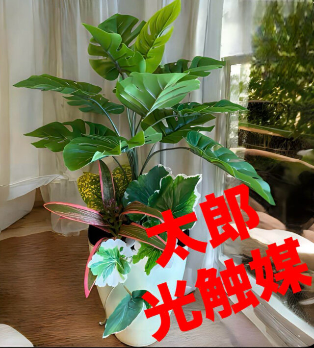光触媒　人工観葉植物　ウォールグリーン　フェイクグリーン　モンステラポット04