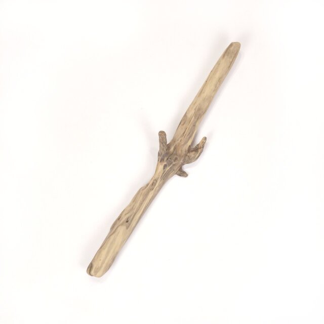 【温泉流木】半ばに集合枝がある削がれた枝流木 流木素材 インテリア素材 レイアウト素材 オブジェ