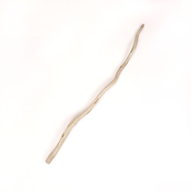 【温泉流木】ゆるりくねりと伸びた美しい細枝の流木 流木素材 インテリア素材 レイアウト素材 オブジェ