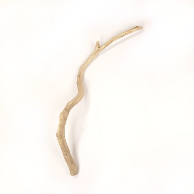 【温泉流木】螺旋に大きくカーブする美枝流木 流木素材 インテリア素材 レイアウト素材 オブジェ