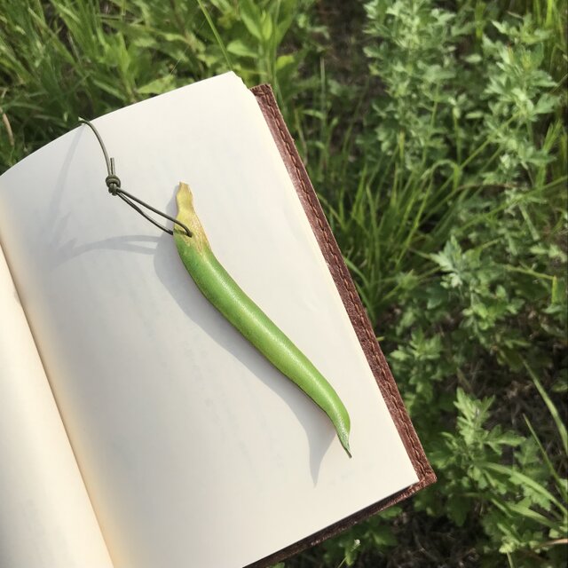 本革　カラスノエンドウ　草　豆　ブックマーク