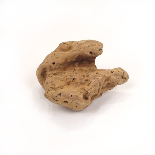 【温泉流木】コロリと置ける変形流木オブジェ001赤茶 流木素材 インテリア素材 レイアウト素材