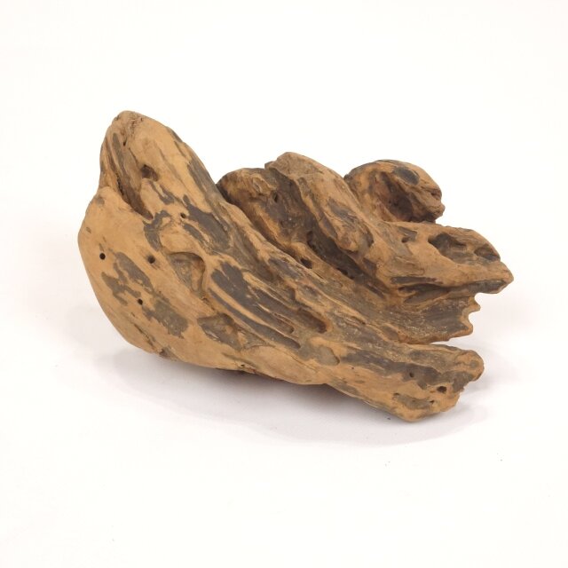 【温泉流木】コロリと置ける変形流木オブジェ005水流 流木素材 インテリア素材 レイアウト素材