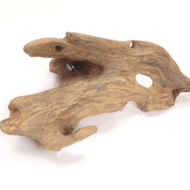 温泉流木】なめらか美しい幹表皮の薄い変形流木オブジェ 流木素材