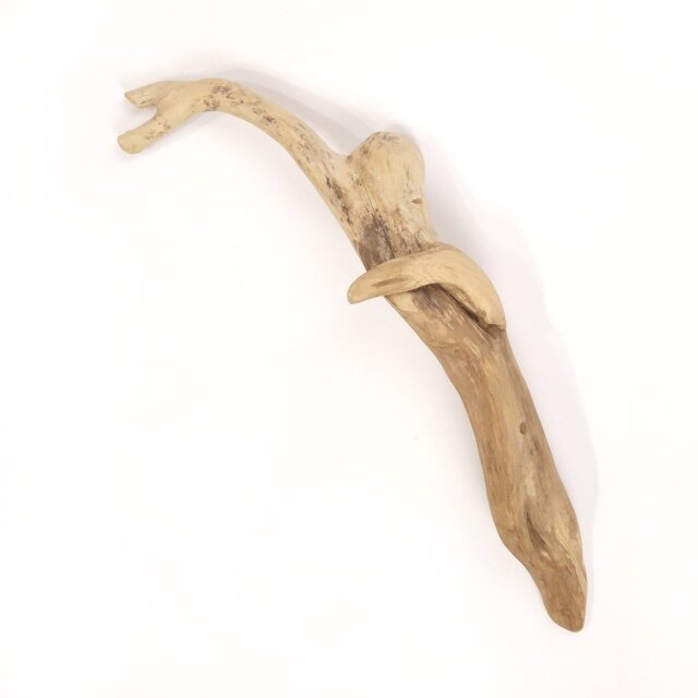 【温泉流木】空を飛んでいく人のような変形流木オブジェ 流木素材 インテリア素材 レイアウト素材